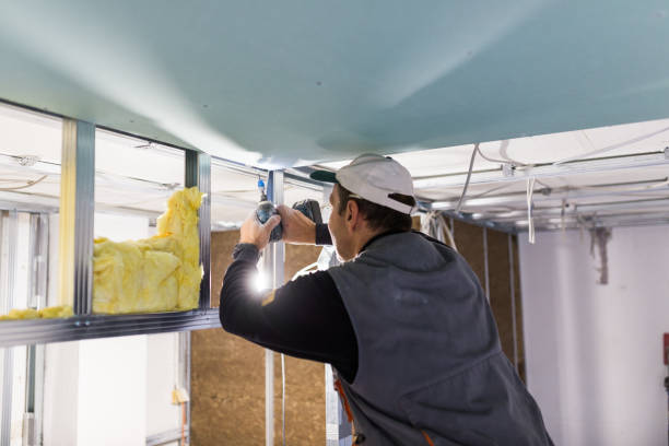 Best Commercial Insulation in Loma Ri, CA
