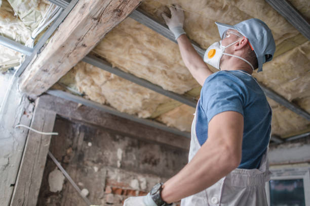 Best Insulation Maintenance and Repair in Loma Ri, CA