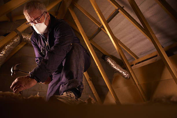 Best Specialty Insulation in Loma Ri, CA